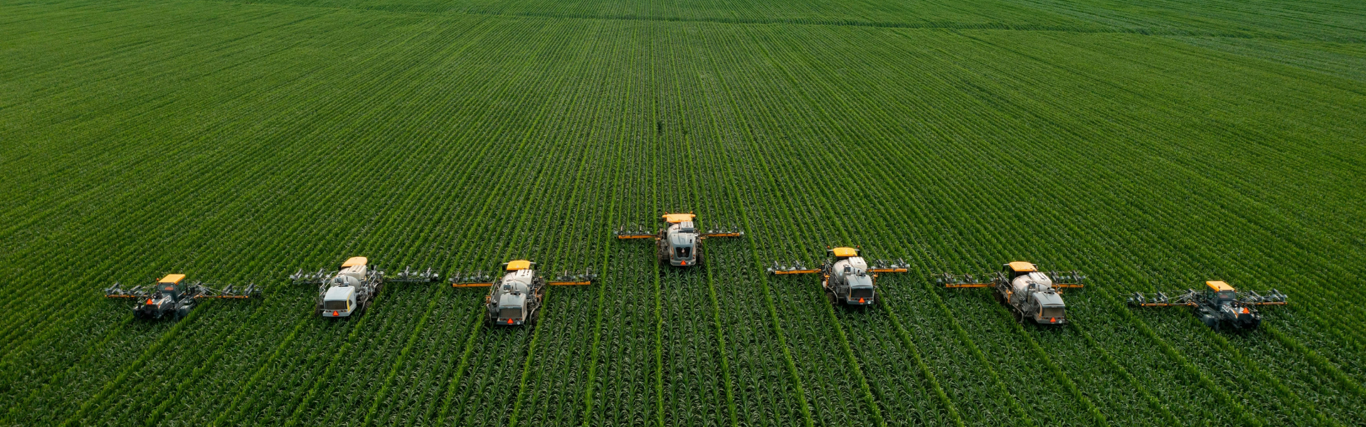Lavoura de soja representando o agronegócio