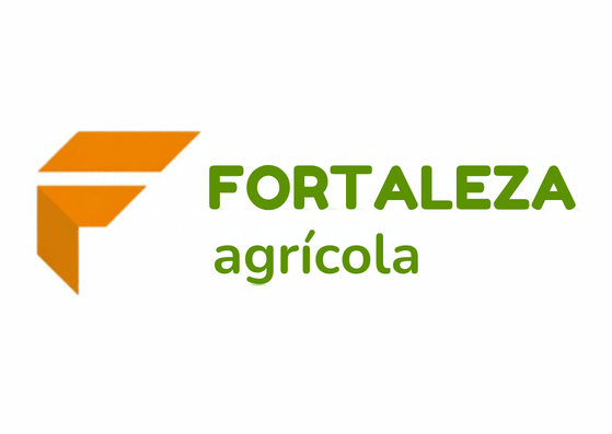 Cliente 4